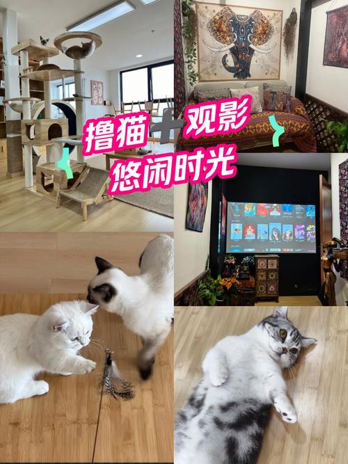 精油按摩日韩在线的相关介绍