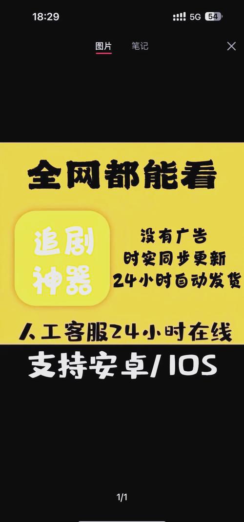 欧美一级片一区二区三区的相关介绍