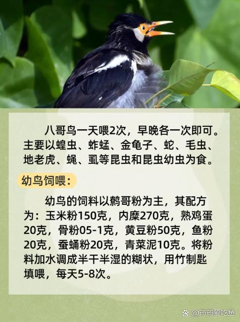 双性开宫h的相关介绍