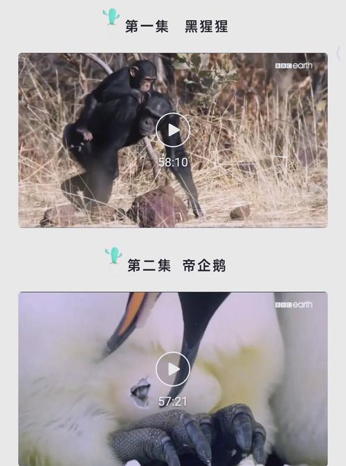 日本异性精油按摩的相关介绍