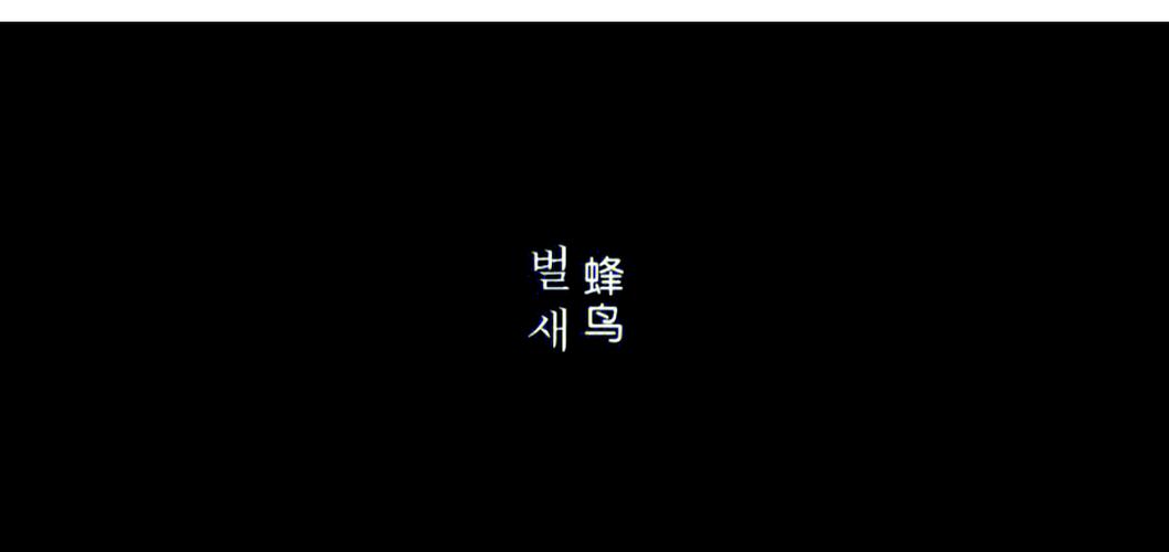 四虎影院的相关介绍