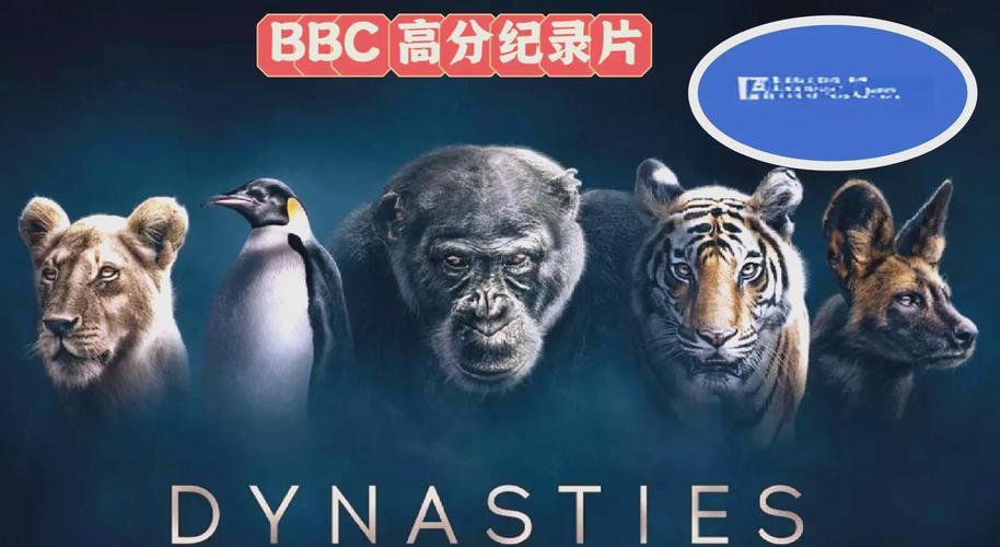 99国产精品国产精品毛片的相关介绍