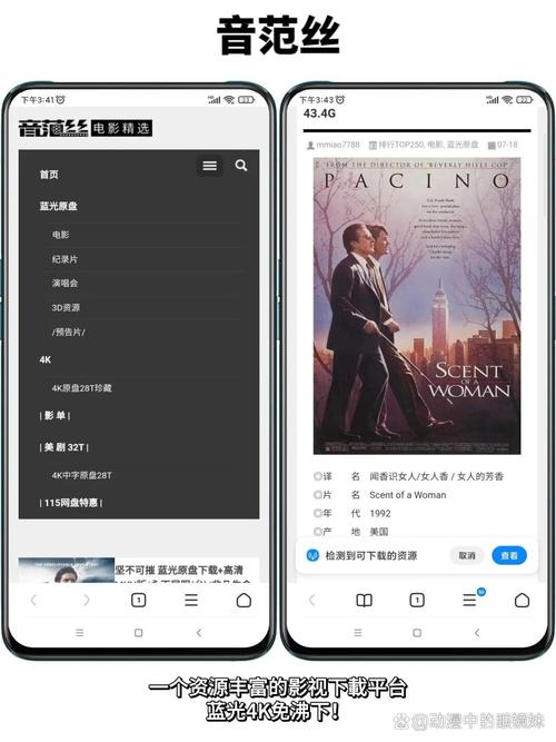 奇优影院手机版的相关介绍