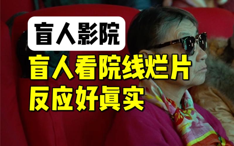 看恋老夕阳影院的相关介绍