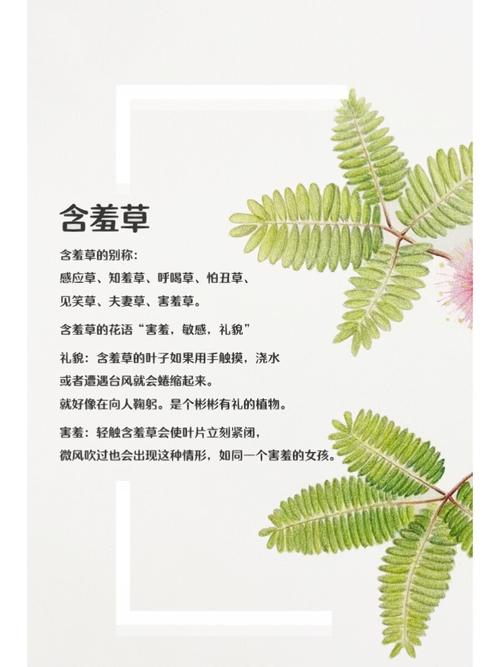 日照电影院的相关介绍