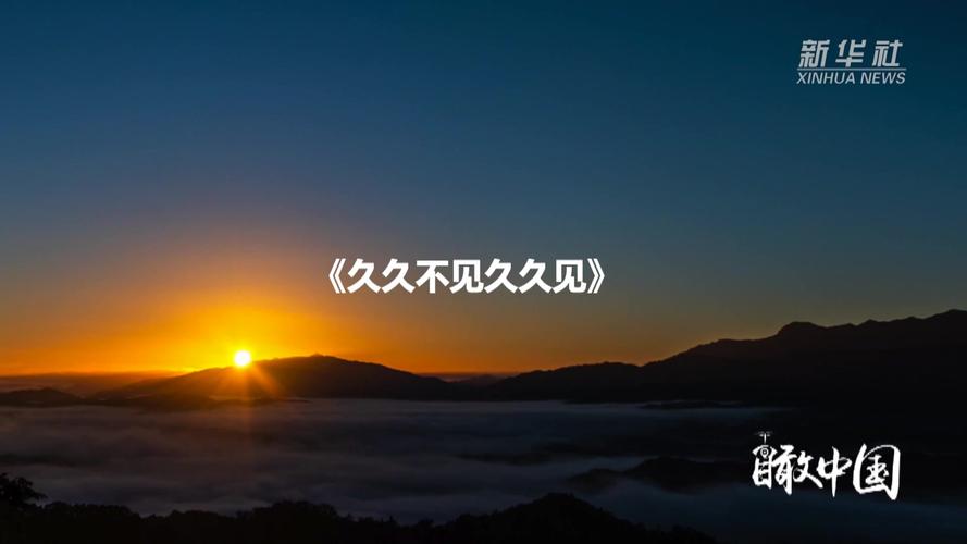 老师和我爽了一夜av的相关介绍