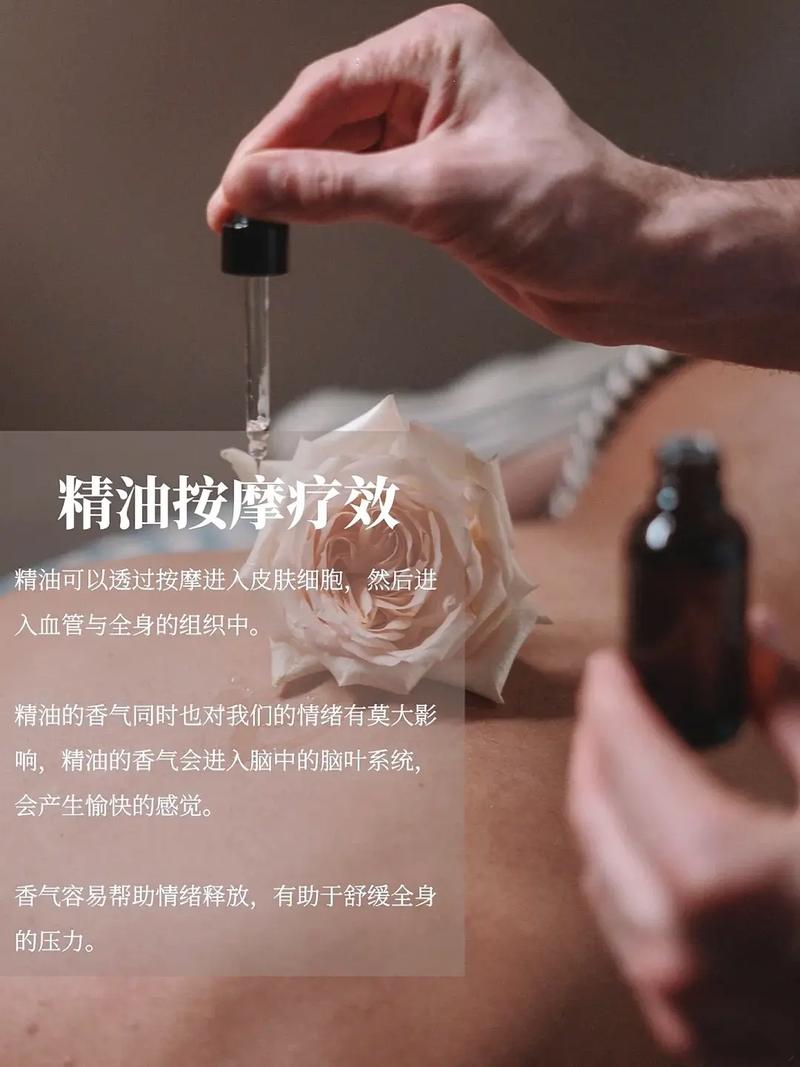 美女老师要了我的相关介绍