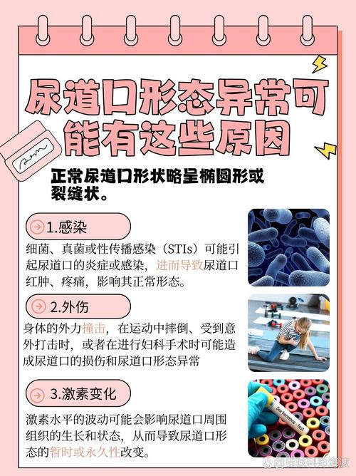 搞逼视频app下载的相关介绍