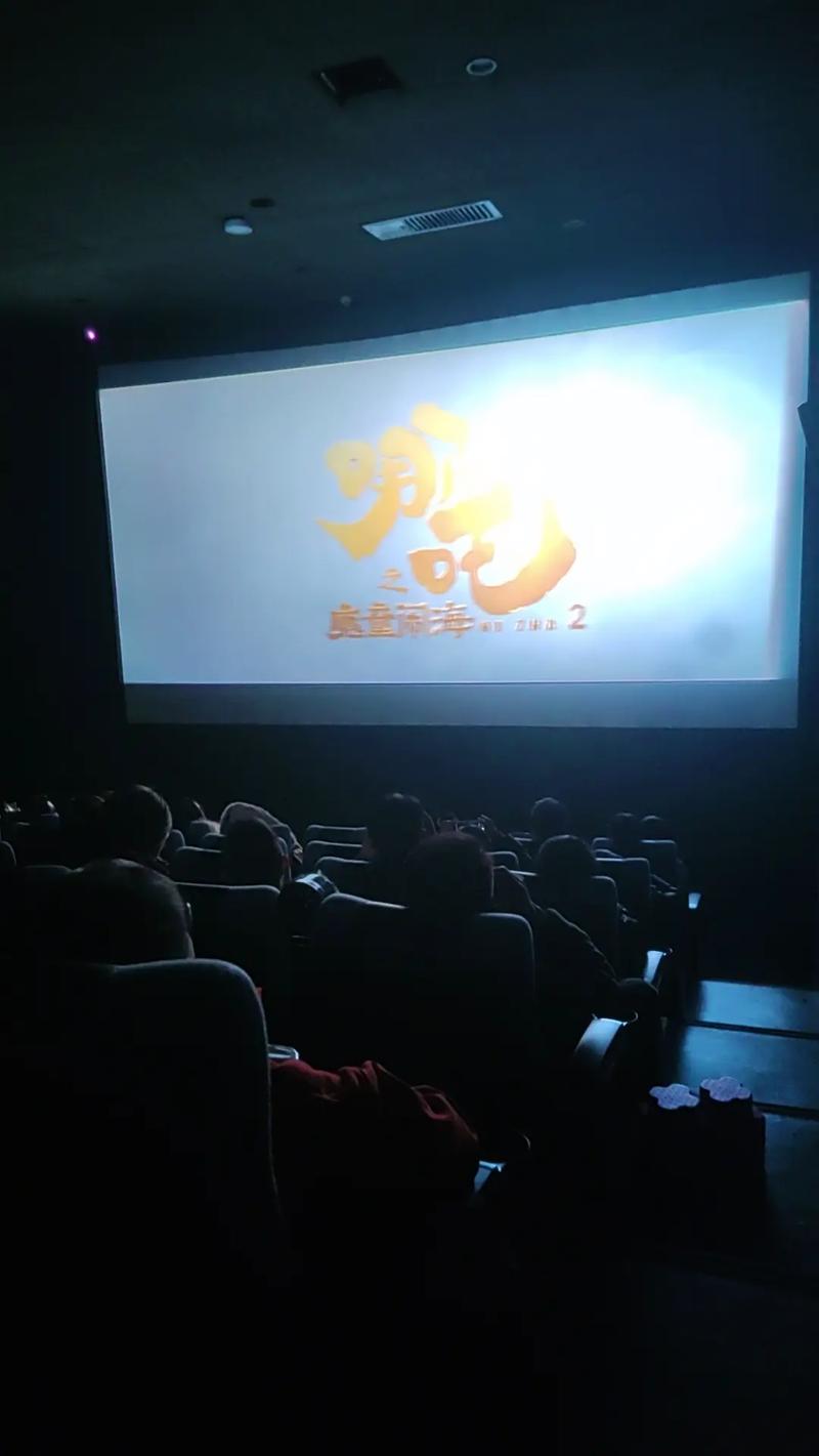 yy48000私人影院的相关介绍