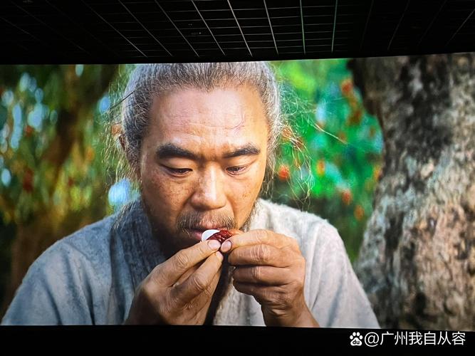 刘亦菲大尺度写真的相关介绍