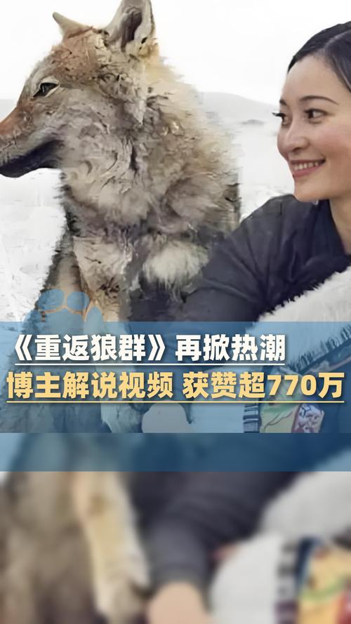 小白影院的相关介绍