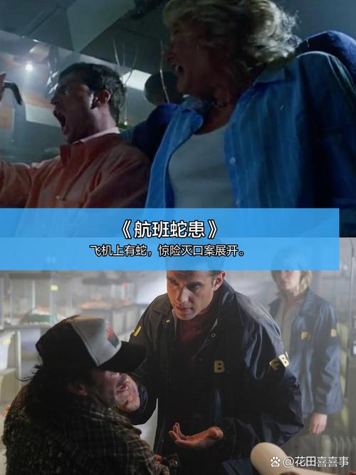 长相思策驰影院免费观看的相关介绍