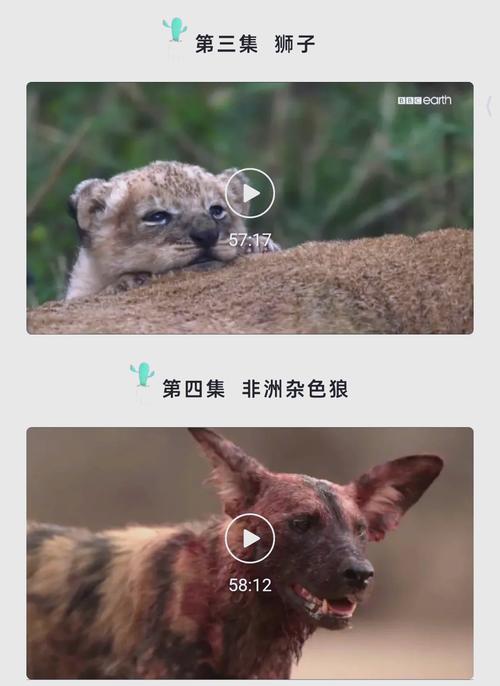 五福影院地址最新的相关介绍