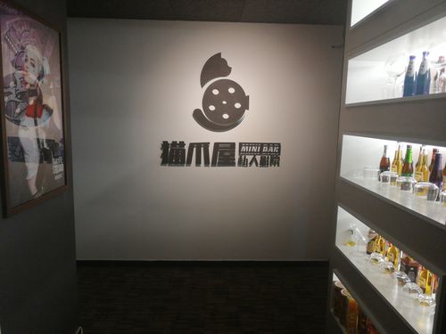 久久99精品久久久的相关介绍