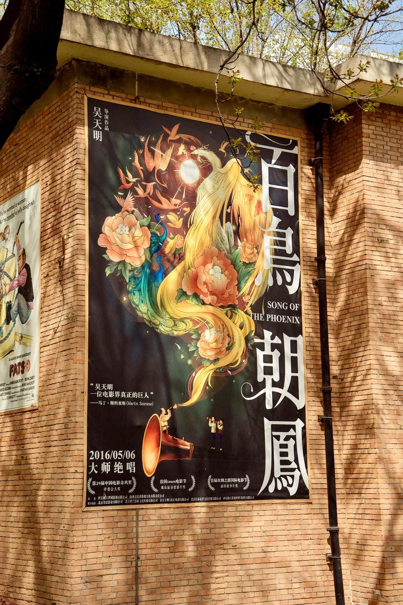 重庆电影院的相关介绍