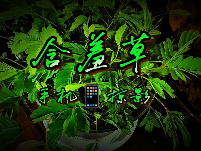 91人妻久久一区的相关介绍