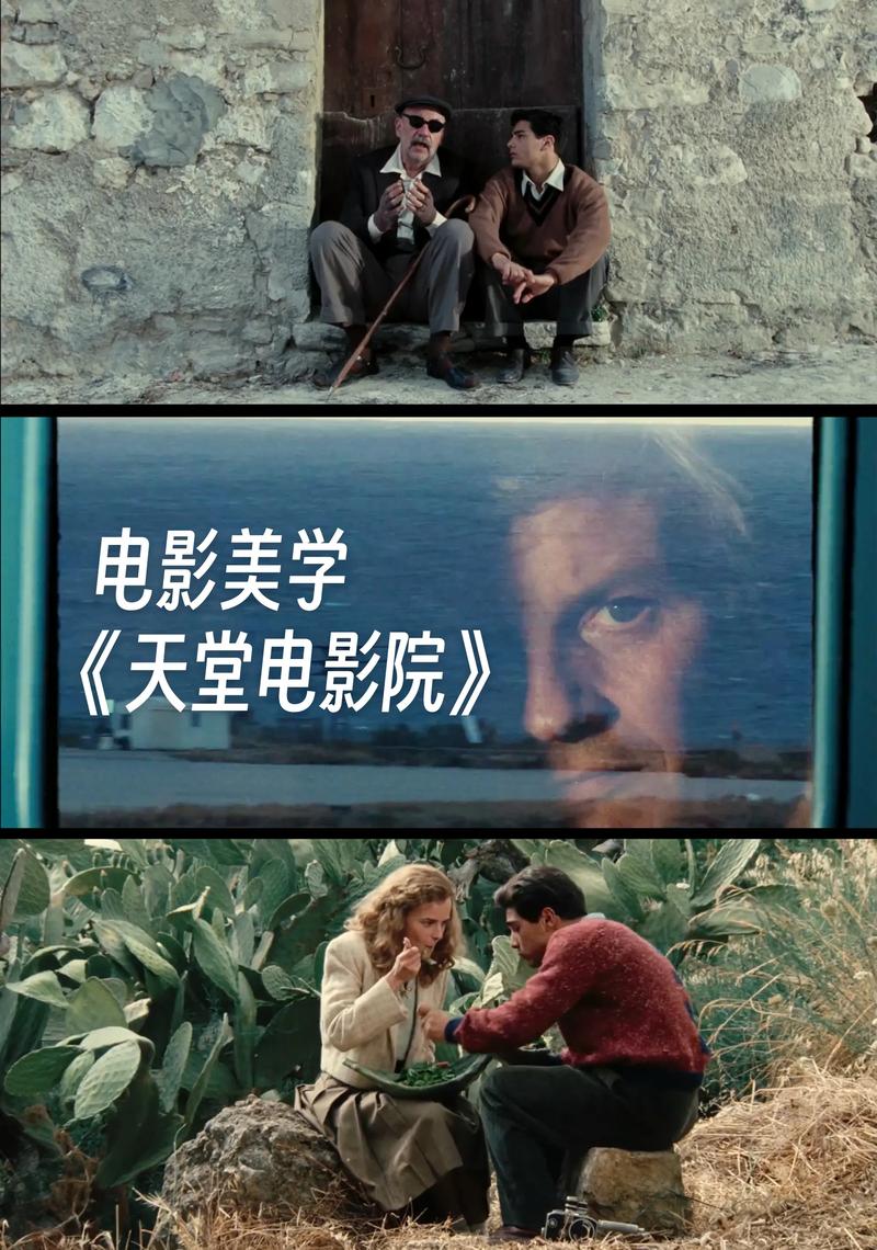 369看毛片的相关介绍