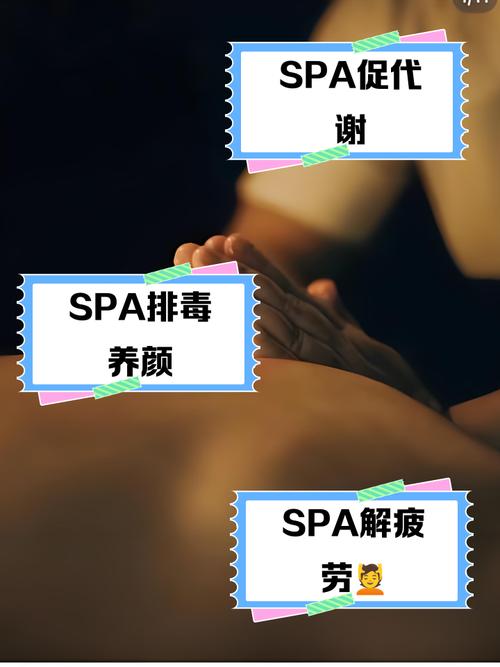 av界最极品的长腿美腿的相关介绍