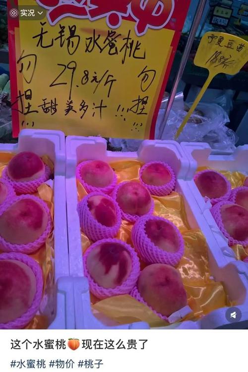 18禁黄网站禁片免费观看av的相关介绍