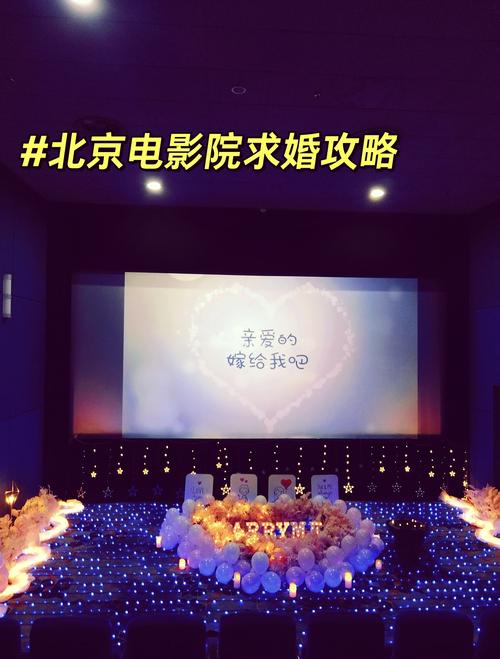 极速影院精简版下的相关介绍