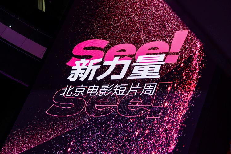 夜夜影院夜夜射的相关介绍