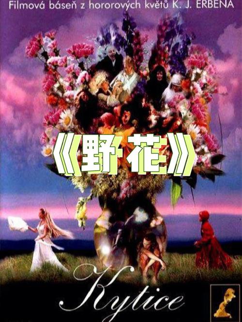 18禁视频网站免费入口的相关介绍