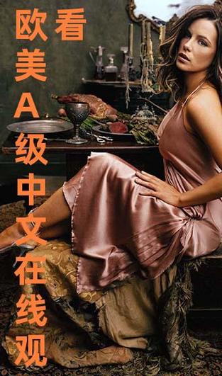 4080新视觉影院手机的相关介绍