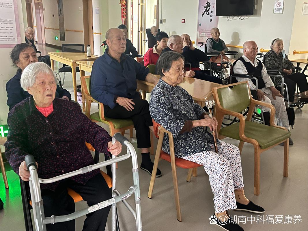 丫丫私人影院的相关介绍