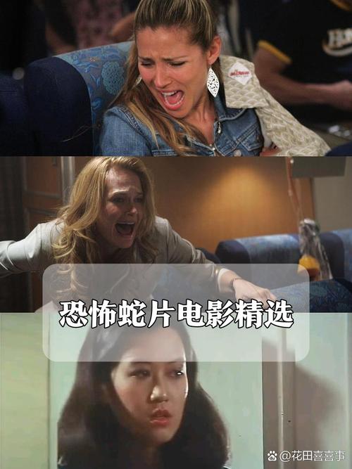 俄罗斯肥妇毛片的相关介绍