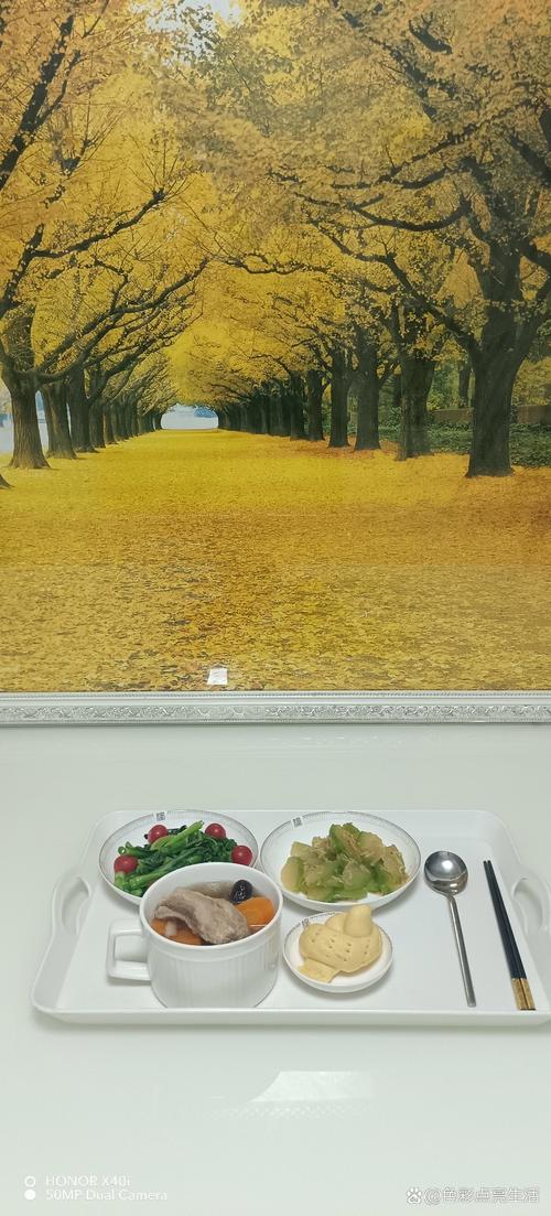 大卫29手机电影院的相关介绍