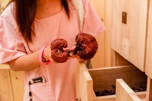 东北老妇女毛片的相关介绍