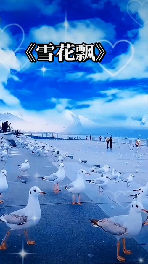 久久精品99久久久的相关介绍