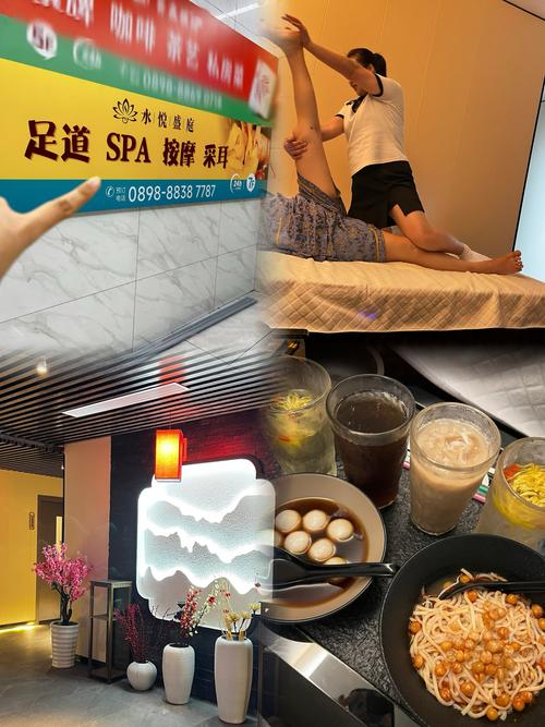 免费视频下载网站app的相关介绍