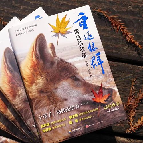 亚洲少妇激情四射的相关介绍