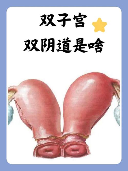 午夜私人成年影院的相关介绍
