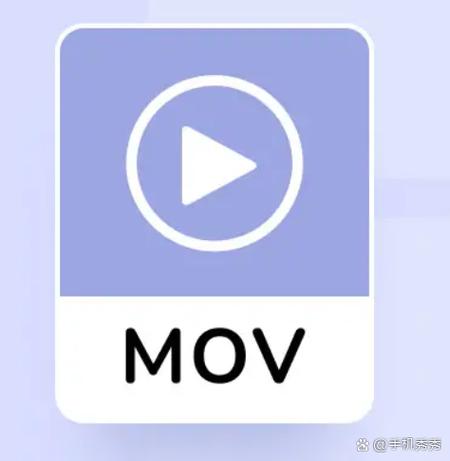 枫花园汽车影院的相关介绍