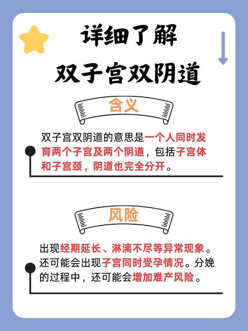 美嘉电影院的相关介绍