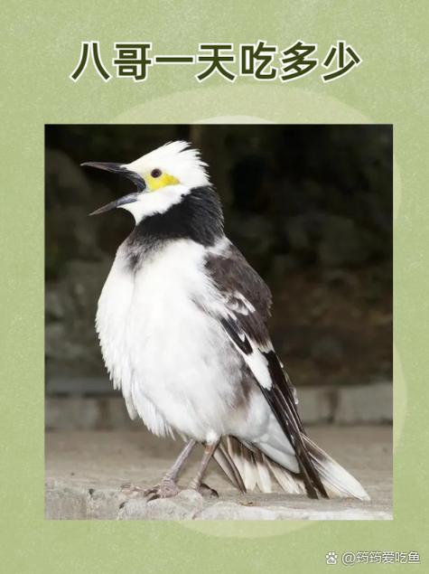 星辰影院的相关介绍
