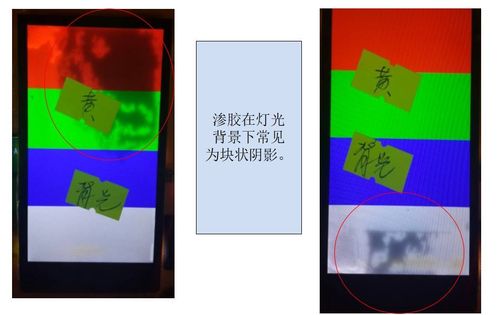 激情男女动漫的相关介绍