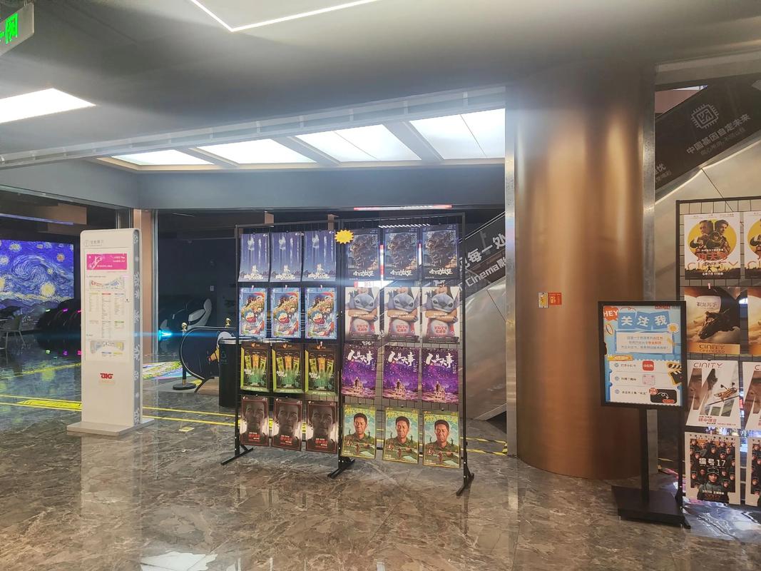 国精品久久久久久的相关介绍