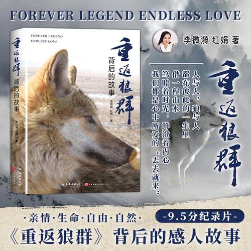 天天日熟女少妇av的相关介绍