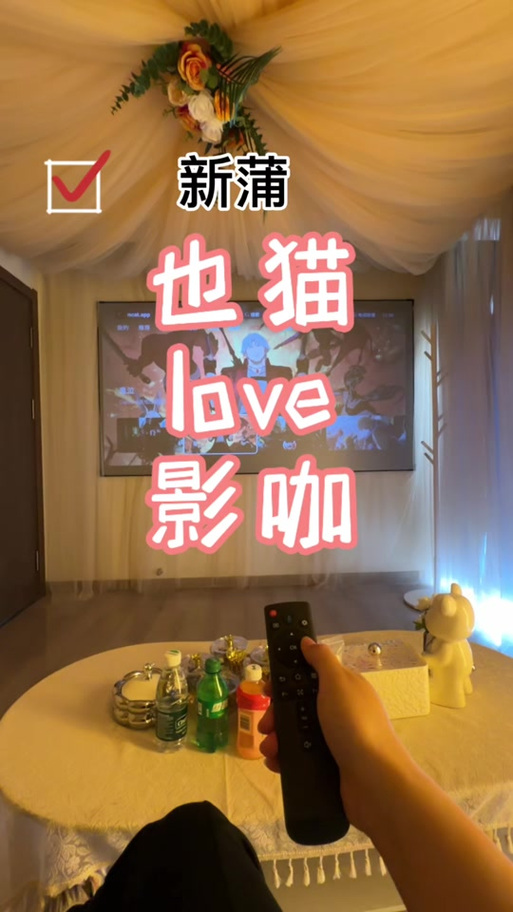 放映影院的相关介绍