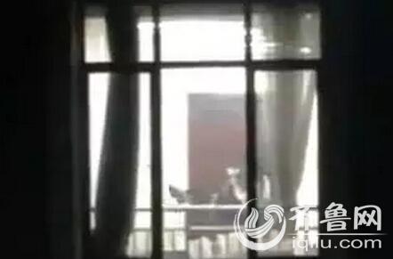 一一影院的相关介绍