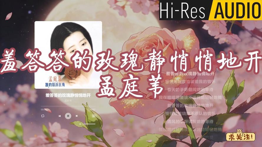 4妹妹影院的相关介绍