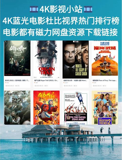 77影院的相关介绍