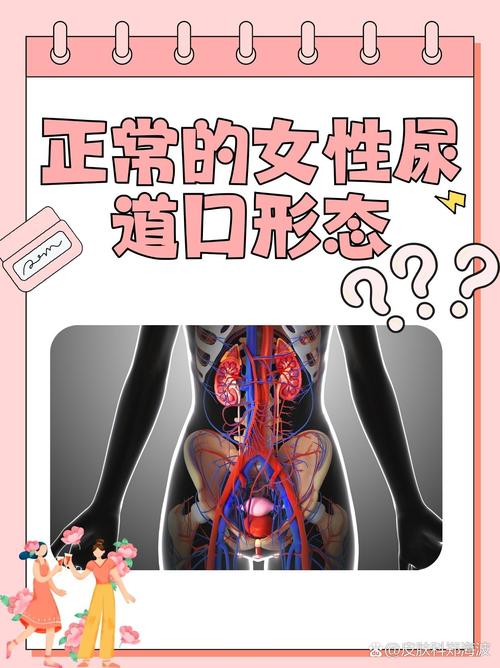 操老师小逼的相关介绍